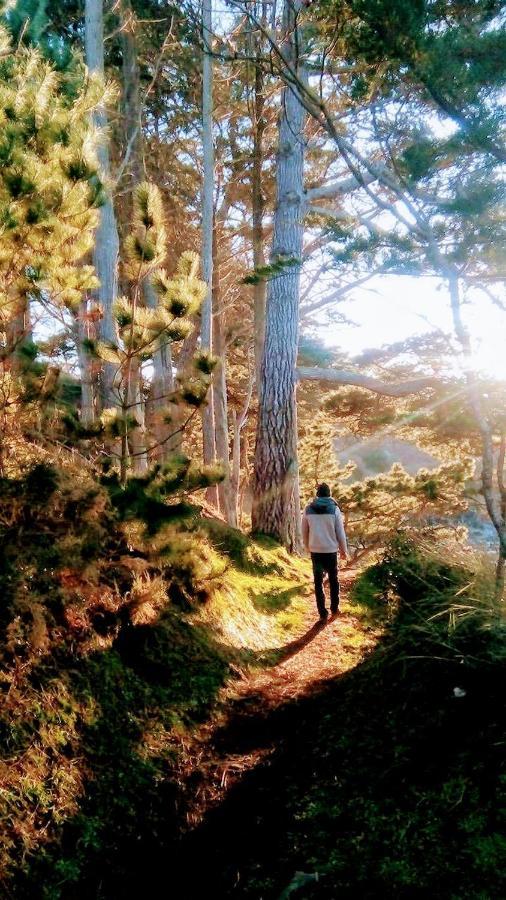 Les Hortensias Grande Tente Familiale Deux Chambres Et Sejour Vue Mer Sur Camping Nature Plestin-les-Grèves Εξωτερικό φωτογραφία